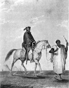 THE AFRICAN KNIGHTS THE ARMIES OF SOKOTO, BORNU AND